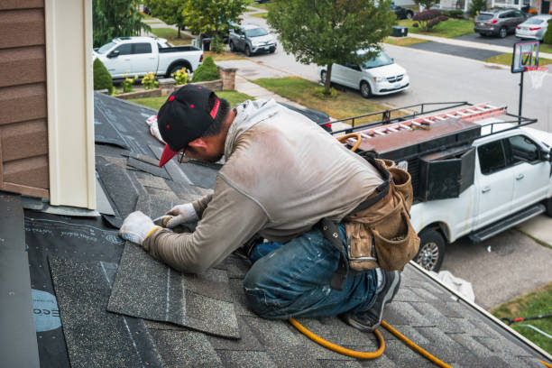 Professional Roofing technician working in Marne, MI